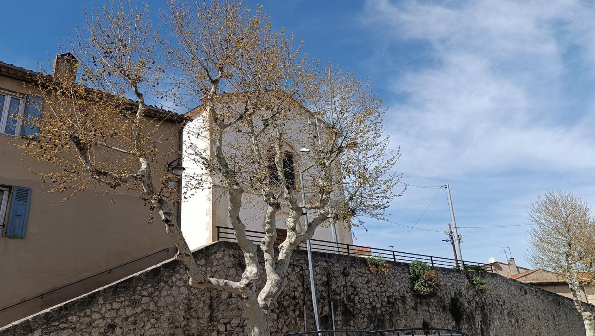 Origan * Cosy * Linge Hotelier * Fibre * Calme *